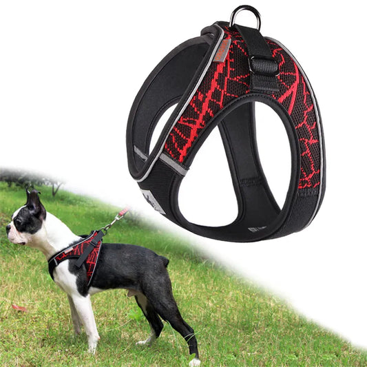 ComfortFit Dog Harness.